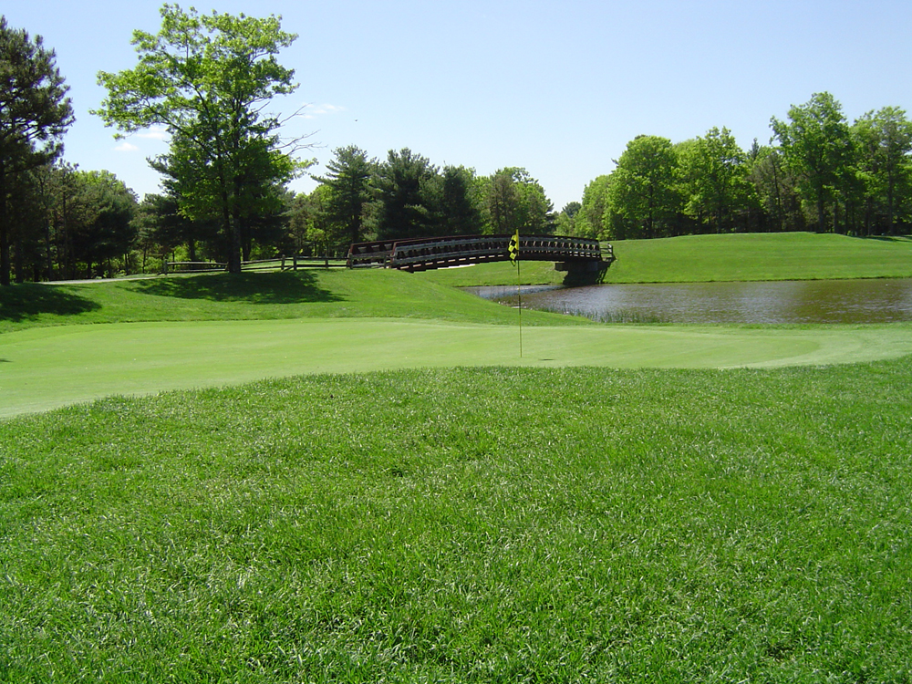Photo Gallery Squirrel Run Golf